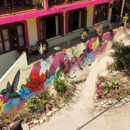 La Posada Pacifica Puerto Vallarta Exteriér fotografie